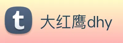 大红鹰dhy logo